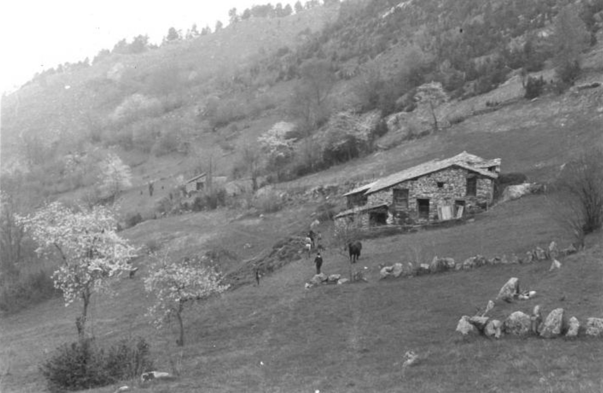 Métairie de Labouiche, sous le col de Foujoule en 1975